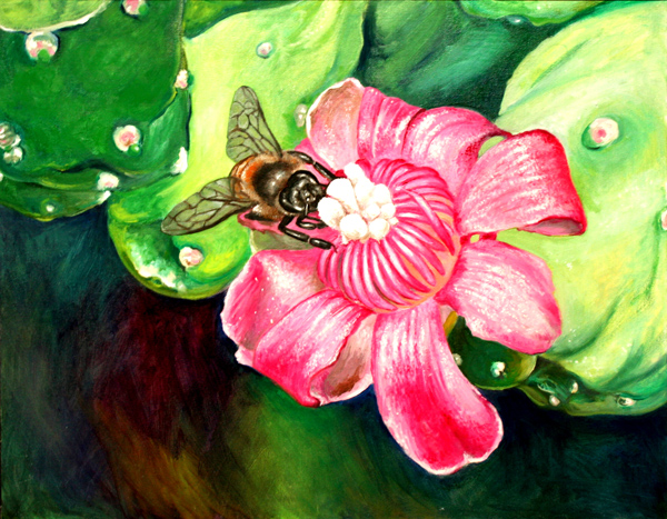 Cactus Flower with a Bee (oil)