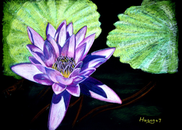 Water Lily Flower (pastel)