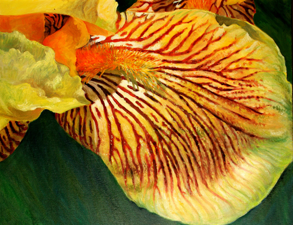Iris No. 4 (oil)